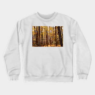 Autumn deep in forest scene on a trail Crewneck Sweatshirt